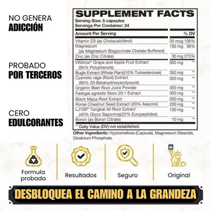 King Maker | Desata tu versión más alfa 👑